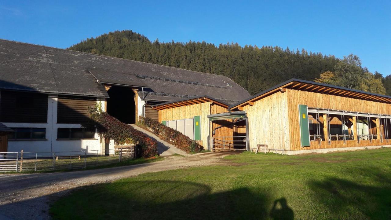 Schusterbauernhof Apartment Bad Mitterndorf Luaran gambar